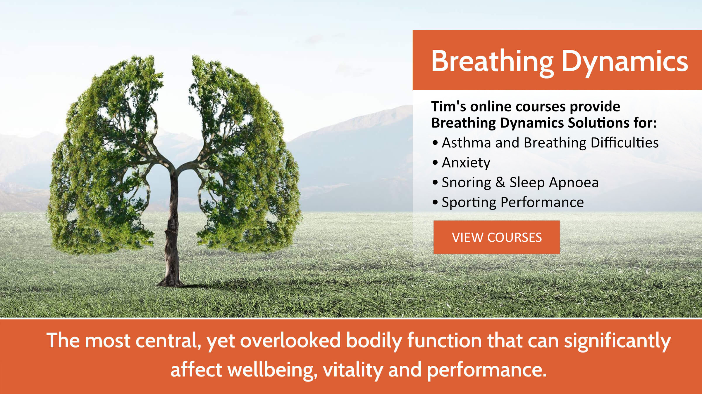 Breathing Dynamics Banner - 2400px