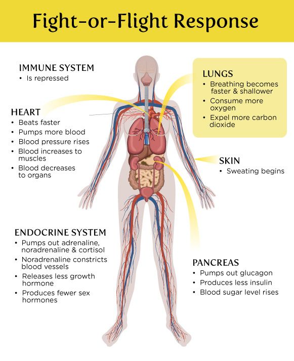 the-world-we-created-causes-us-to-over-breathe-tim-altman-primal-health