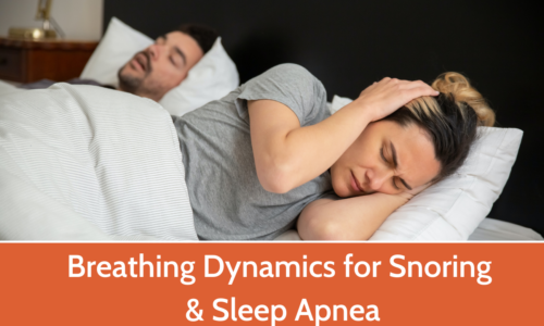 Breathing Dynamics for Snoring and Sleep Apnoea